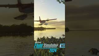 Cuándo sale Microsoft Flight Simulator 2024  msfs2024 msfs [upl. by Lazes]