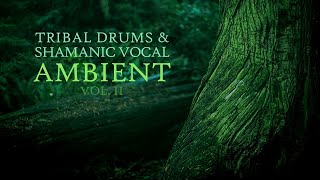 Tribal drums amp shamanic vocal ambient vol II  Primordial II full album [upl. by Ethben357]