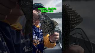 CRAPPIE Fishing Videos  TOTALLY AWESOME shorts fishing [upl. by Nwahsud539]