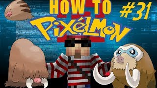 Piloswine and Mamoswine revisited How to Pixelmon 30 31 [upl. by Arotak]