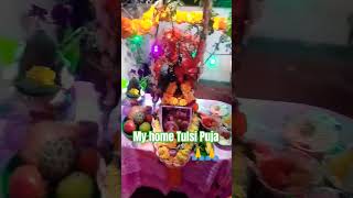 Bondhura ajke amader ghore Tulsi Puja hoyeche 👍 Tulsi ki vivah 🙏🙏Mata Tulsi Rani ki jai 🙏🙏 [upl. by Colwin]