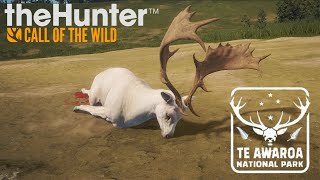 GAMO DIAMANTE ALBINO  theHunter CotW [upl. by Liuqnoj133]