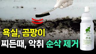 여름철 화장실 욕실 곰팡이 찌든때 악취 순식간에 제거하는 방법 욕실 청소 세제 추천 [upl. by Anaicul]