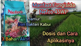 Manfaat Fungisida Nefos 45WP Dosis dan Cara Aplikasinya3 Bahan Aktif Ampuh Hajar Jamur dan Bakteri [upl. by Zebedee]