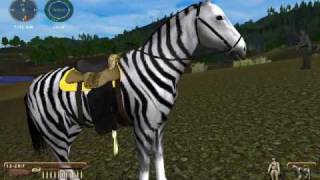 Hunting Unlimited Zebra quotHorsequot [upl. by Photima827]