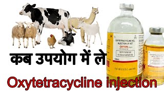 Antibiotic OXYTETRACYCLINE INJECTION कब उपयोग में ले पशुओं में और क्या लाभ और क्या हानि होती है [upl. by Ilene]