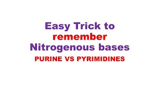 Nucleotide bases Super trick to remember nitrogenous basis  purine and pyrimidine [upl. by Loggins]