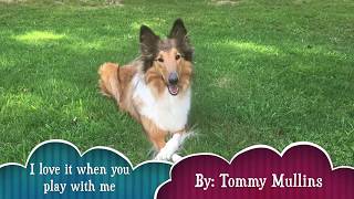 Rough Collie Song  I love it when you play with me by Tommy Mullins [upl. by Nyret100]