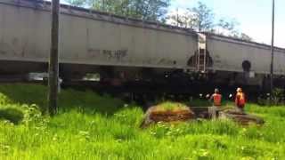 Train Derailment Blocks Walmart Access Shoppers Upset and Confused Aberdeen WA Derail [upl. by Edan369]