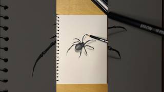 3D spider drawing shorts youtubeshorts [upl. by Philomena]