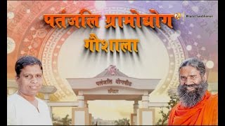 Patanjali Gramodhyog Goshala Swami Ramdev  02 Jan 2017 [upl. by Kartis531]