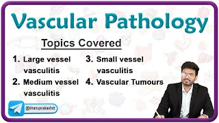 🩸🛤️ Vascular Pathology  Part 1   Vasculitis amp Atherosclerosis🔬 Pathology Chapter  4 [upl. by Betthezul]