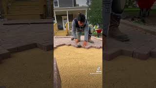 Harringbone Paver Patio throwback october landscape foryou fyp fypシ゚viral shorts subscribe [upl. by Akimas]