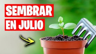 Que sembrar en JULIO para Huerto y Jardín🌱 Mini Calendario de Siembra 2022  La Huerta de Ivan [upl. by Rainwater]