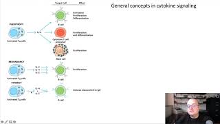 31 Principles of Cytokine Signaling [upl. by Elton644]