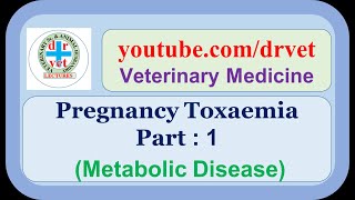 Pregnancy Toxemia Part 1 [upl. by Leshia]