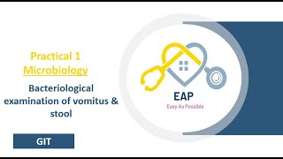 Practical 1  Microbiology  Bacteriological examination of vomitus amp stool  GIT [upl. by Younger]