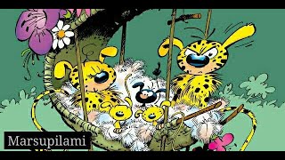 KARTUN LUCU MARSUPILAMI BAHASA INDONESIA [upl. by Darcy]