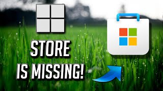 Microsoft Store Is Missing In New Windows 11 PC How To GetInstall Microsoft Store On New PC FIX [upl. by Bogoch855]