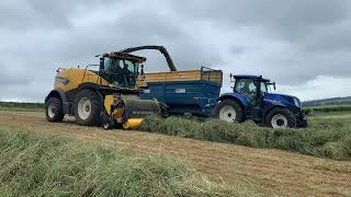 New Holland Ultrafeed Grass Header on FR780 [upl. by Elocaj]