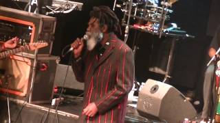 Don Carlos amp Dub Vision Band en Groove [upl. by Illek337]