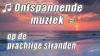 ONTSPANNENDE MUZIEK Ontspannen Studie Klassieke Muziek Gitaar Pianosongs Instrumentale Studeren [upl. by Hogen]