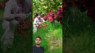 Amazing fruit fruit naturallifeb naturalclips satisfying naturelife fruitcutting food [upl. by Shanie379]