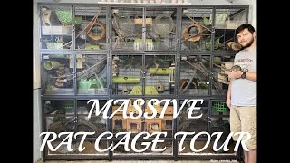 Critter Nation Rat Cage Tour  Bioactive Rat Cage  Massive Rat Mansion [upl. by Darton]