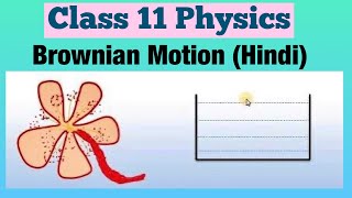 Brownian Motion Hindi  Class 11 Physics [upl. by Aneala]