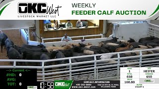 11292023  OKC West Feeder Calf Auction [upl. by Larianna367]