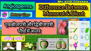 Difference between Monocot amp Dicot plants एकबीजपत्री और द्विबीज पत्री पौधों में अन्तर। [upl. by Dazhahs]