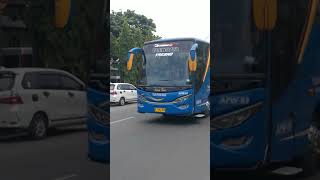 Bis pariwisata ASTINA TRANS bismaniacommunity videoshort [upl. by Ettevahs338]