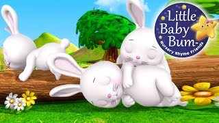 Sleeping Bunnies  Nursery Rhymes for Babies by LittleBabyBum  ABCs and 123s [upl. by Ettenoitna]