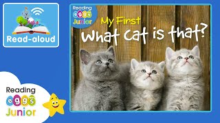 What Cat Is That 🐈 ReadAloud Book 📖 Kids Nonfiction [upl. by Sokim850]