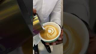 How to make Rosetta and tulip 🌷 baristashouse coffeehouse baristas coffee baristabasics [upl. by Nileuqay]