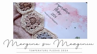 Mergina su Mezginiu  Temperaturos pledo pradziamokslis [upl. by Deeann302]