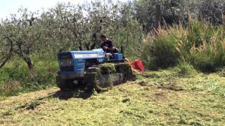 Landini 6500 trinciatura 2013 [upl. by Evoy]