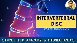 INTERVERTEBRAL DISC SIMPLIFIED  ANATOMY  BIOMECHANICS OF SPINE Part 2 [upl. by Xuagram]