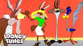 20 scrupulis Wile E Coyote calida Mes  Looney Tunes  GenWBLatino [upl. by Eessej]