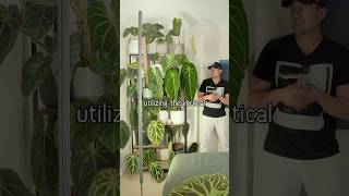 Full video available on my channel  ⬆️ plants anthurium [upl. by Iraam]