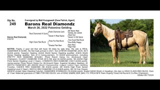 Pitzer Ranch Fall Sale 2024 Lot 249 BARONS REAL DIAMONDZ [upl. by Cerveny703]