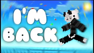 Nethergames Bedwars Gameplay  IM BACK UsamaBottt in my game [upl. by Eiroc]