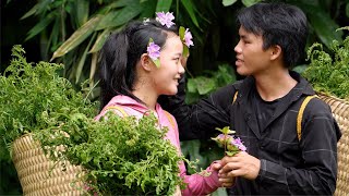 Harvesting wild vegetables  Love blooms in the green forest [upl. by Gould389]