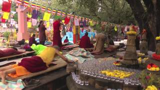 On the Path of the Buddha Buddhist Pilgrimage in North India and Nepal [upl. by Akcirehs679]