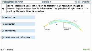 An endoscope uses optic fiber to transmit high resolution images of internal organs without loss [upl. by Sperry]