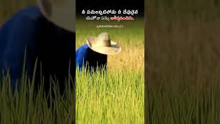 Todays promise of godఈ రోజు దేవుని వాగ్ధానముTodays promise  JS TELUGU GOSPEL [upl. by Limemann369]