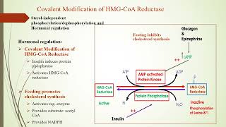 Cholesterol metabolism and hypercholesterolemia [upl. by Noel]