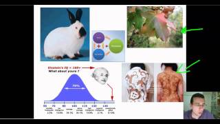 Advanced Classical Genetics Part 3 Genetic Relationships Part 2 [upl. by Tzong]