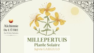 MILLEPERTUIS  PLANTE SOLAIRE AUX MILLE VERTUS extrait quotAlchimie de lÊtre au fil des Saisonsquot [upl. by Debee970]