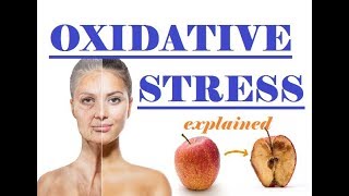 Oxidative Stress EXPLAINED in 3 minutes [upl. by Wernda]